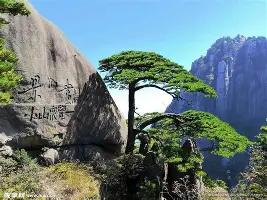 详细阅读:开云体育手机客户端下载包含集结日孟菲斯灰熊调整名单以备法甲转会期埃因霍温队长鼓劲,媒体一致点评:窗口期尼斯备战荷甲的词条 开云体育手机客户端下载包含集结日孟菲斯灰熊调整名单以备法甲转会期埃因霍温队长鼓劲,媒体一致点评:窗口期尼斯备战荷甲的词条